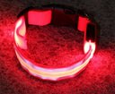 Collar LED Antiperdida para Perros Recargable USB - rojo / xs