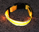 Collar LED Antiperdida para Perros Recargable USB - amarillo / xs