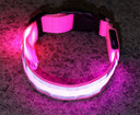 Collar LED Antiperdida para Perros Recargable USB - rosa / xs
