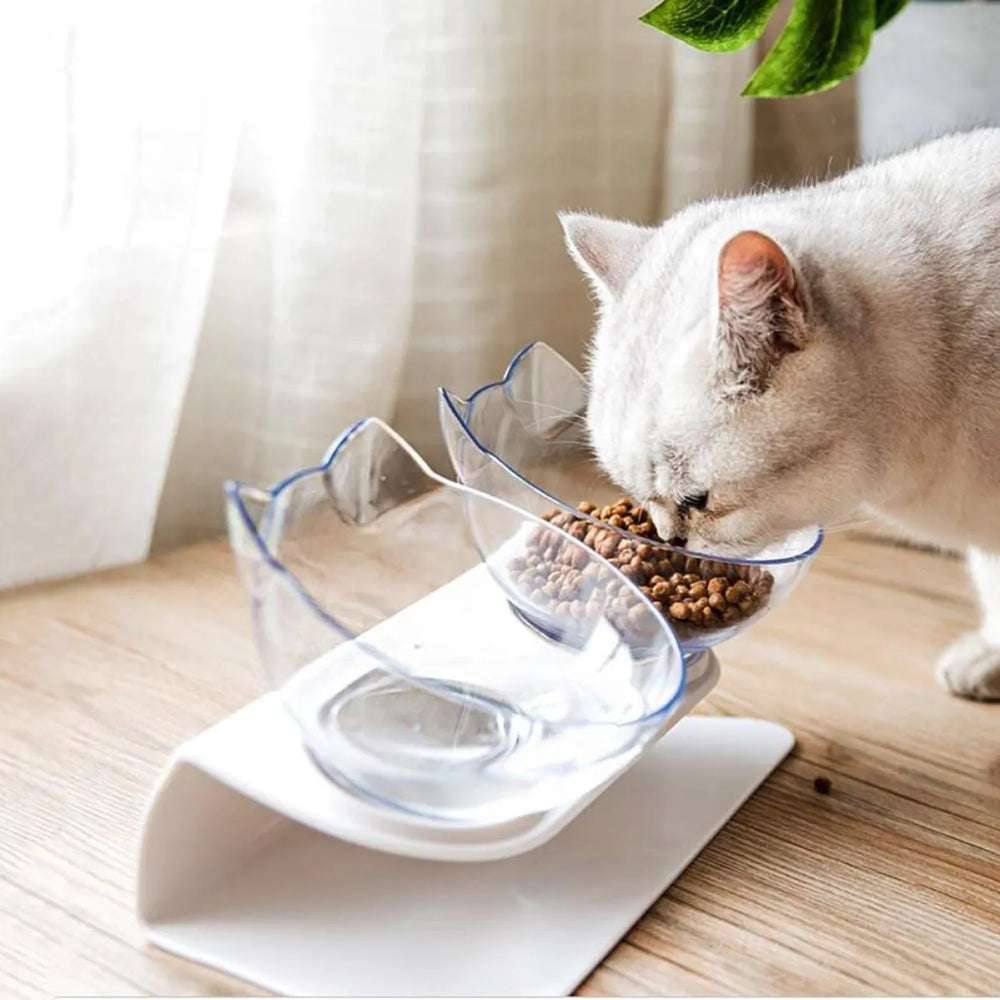 Comedero elevado transparente antivomito para gatos Almaveo, inclinacion 15 grados