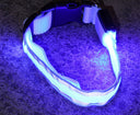 Collar LED Antiperdida para Perros Recargable USB - azul / xs