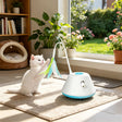 Juguete Interactivo para Gato con Plumas — Caza y Ejercicio