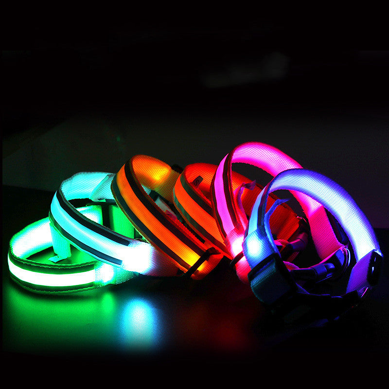 Collar LED antipérdida recargable para perros - Almaveo